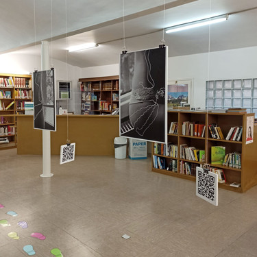 Exposició fotogràfica interactiva - Mireia Sans