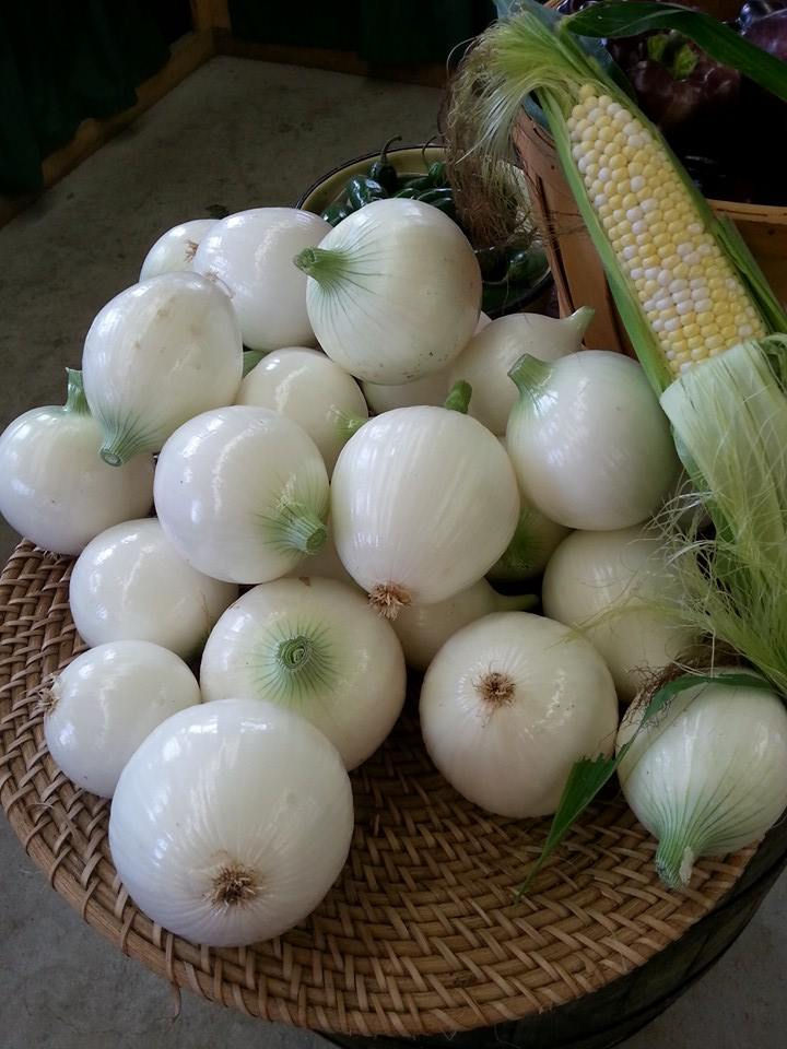 onions