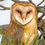 Thumbnail: Owls