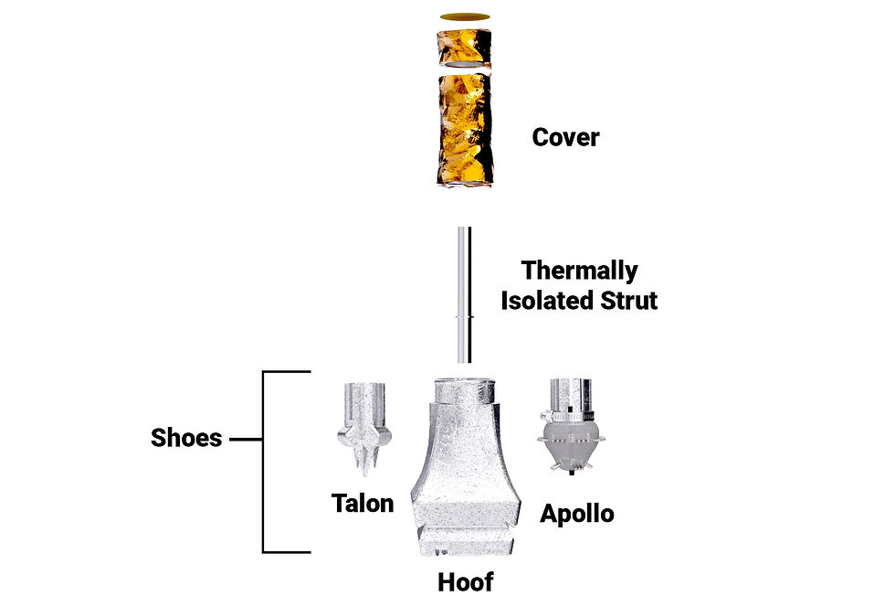 Ankle Insulator and Shoes