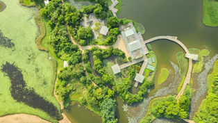 香港入境事务处，家属签证；鸟瞰郁郁葱葱的公园，蜿蜒的木栈道，四周环绕着水景和茂密的树木。明亮而宁静的氛围。