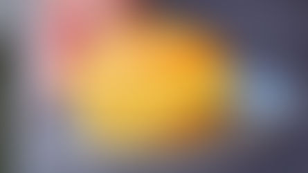 香港工作签证申请：一只手拿着一个蓝色花纹的盘子，盘子里放着一个涂着黄油的金黄色菠萝包。背景模糊，可以看到深色的袖子。