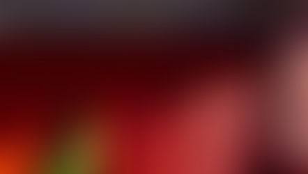 中国移民局——一位身着绿色连衣裙的女子在装饰华丽的墙壁前阅读。阳光投射出网格状的阴影。浓郁的红色和蓝色装饰营造出宁静的氛围。