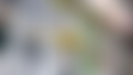 亚太经合组织移民局——街道两旁林立着色彩缤纷的殖民风格建筑,阳台装饰华丽。引人注目的颜色包括黄色、绿色和灰色的百叶窗。城市环境。