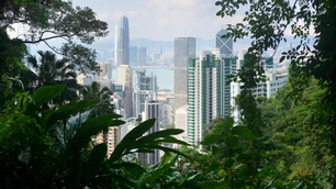 香港投资签证：城市天际线被郁郁葱葱的绿植环绕。高耸的摩天大楼和朦胧的天空在背景中构成了一幅宁静的都市景观。