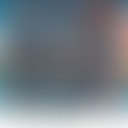 La VI Convención Internacional de Seguridad y Facilitación para OEA y Usuarios de Comercio Exterior