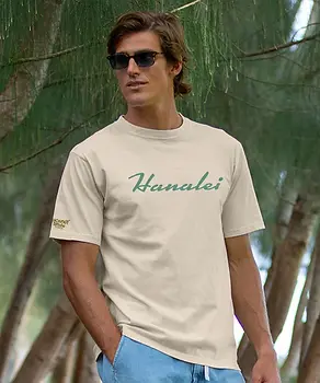2019368_1A.webp