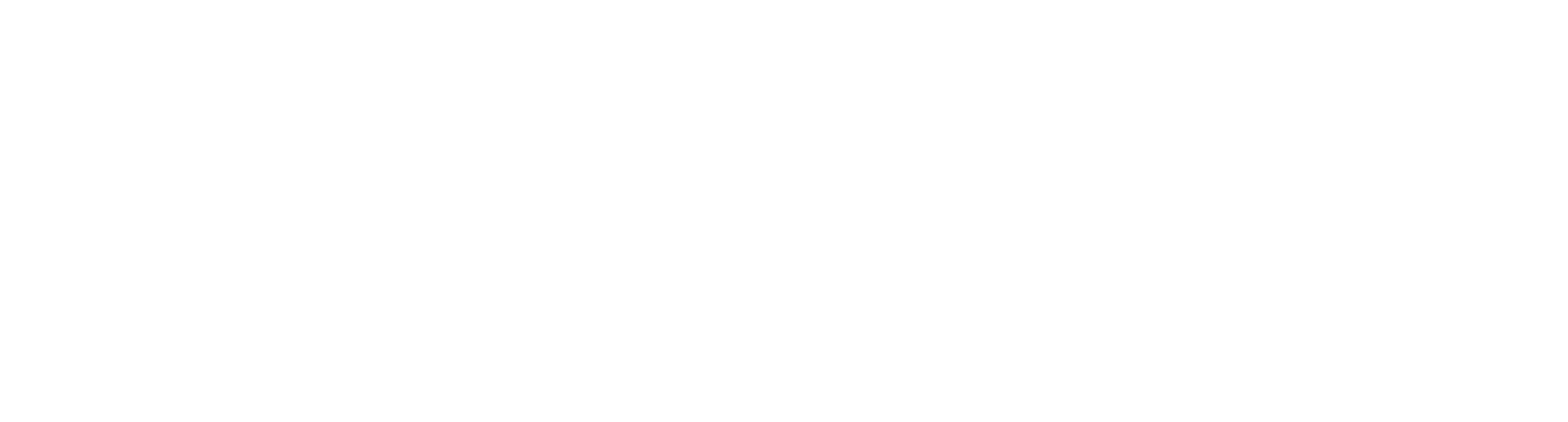 NeoMint-Logo-white-notagline.png