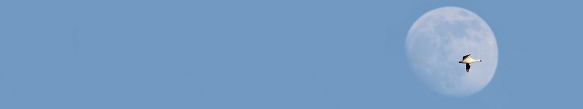 Banner press page
