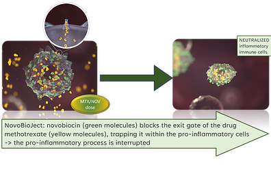 Cartoon of Mode of Action of NovoBioJect