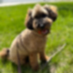 IMG_3526.JPEG