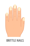 ChatGPT Image Apr 1, 2025, 12_22_31 AM.png