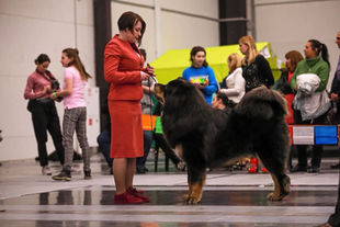 09.08.2020 г. г.Екатеринбург. ⚜️ DAWA'S SHENGLIZHE AT ANGEL TIBETA.⚜️