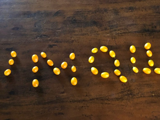 The mighty Kumquat