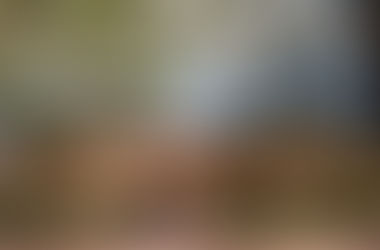 In August, the Common App and Testing Dominate College Admissions Talk