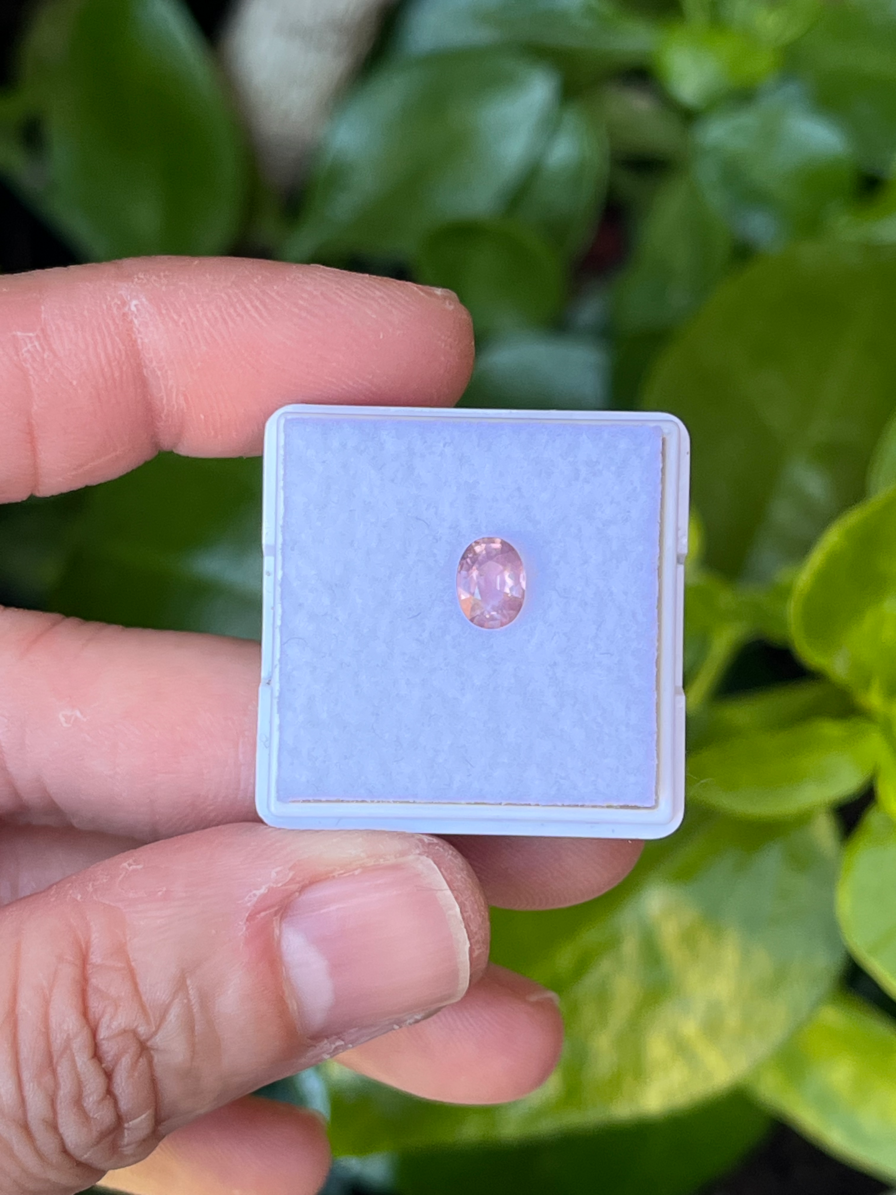 Espinela de Myanmar 0.65ct.  Corte ovalado. Medida: 6.5x4.6mm