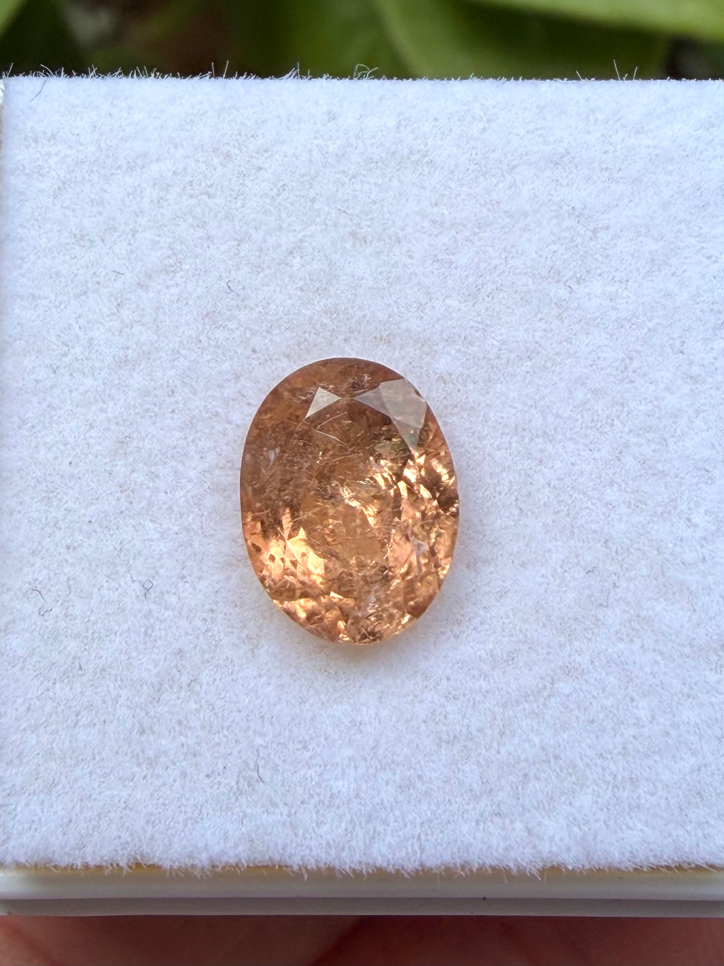 Turmalina Champagne Peach. 1,75ct. 8.9x6.8x4.7mm. ovalada. Mozambique