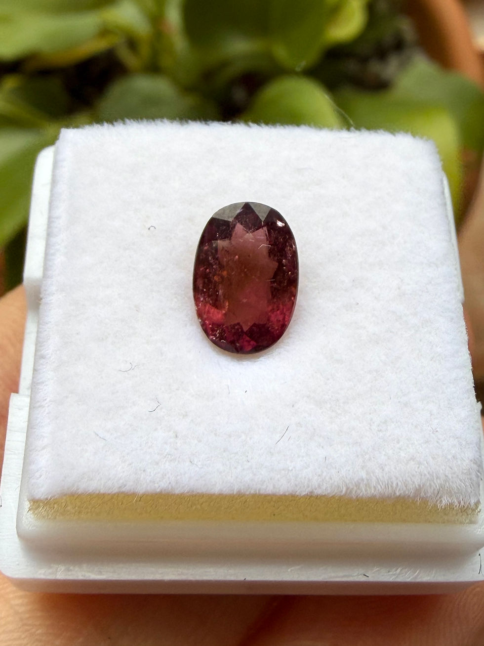 Miniatura: Turmalina Dusty Rose 1.40ct. 8.5x6.0x3.8mm. ovalada. Mozambique 
