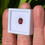 Miniatura: Granate rodolita Africano. 1.15ct Corte ovalado, medida: 7x5.5x3.3mm