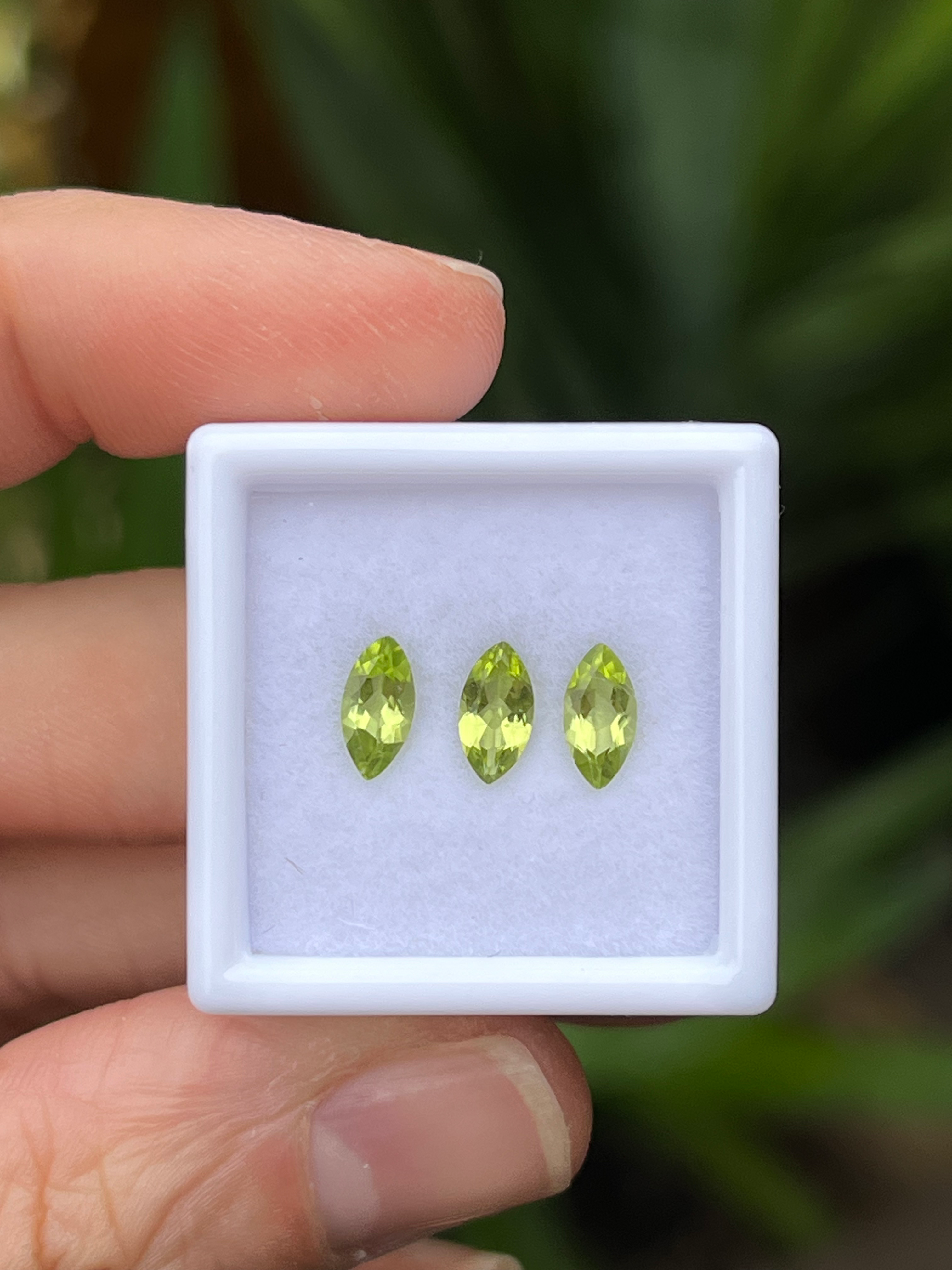 Peridoto. Corte Navette de 7x3.5mm. Pakistan 