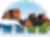 AMBAG logo.png