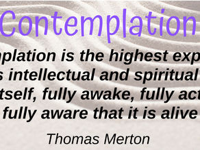 28 June 2024 Contemplation