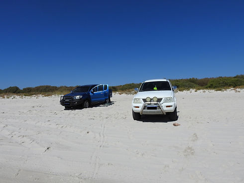 forrest beach