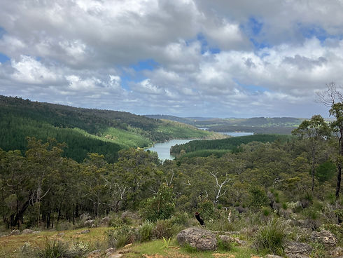 harvey ridge walk