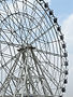 IMG_9831.jpeg