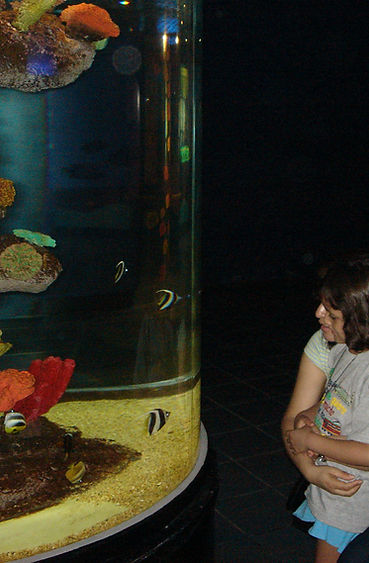 familia en el acuario
