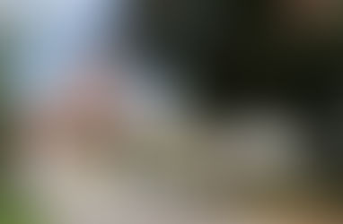 pro juventa übernimmt kommunale Jugendarbeit in Pliezhausen