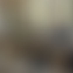 Mitgliederversammlung 2026