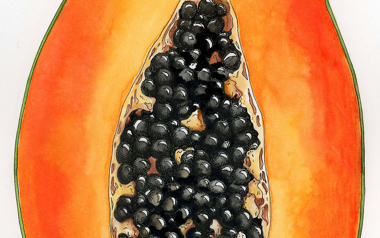 Papaya