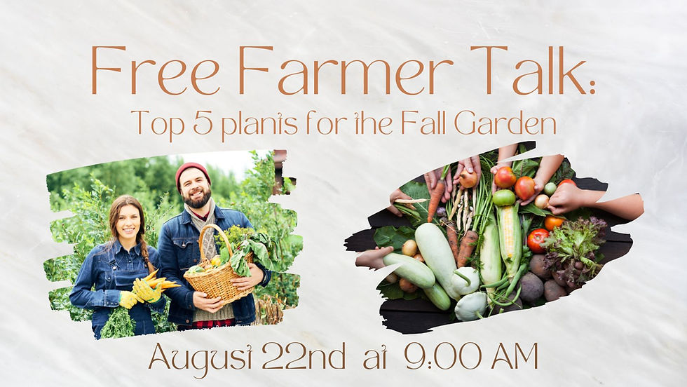 Top 5 Plants for Fall Gardens