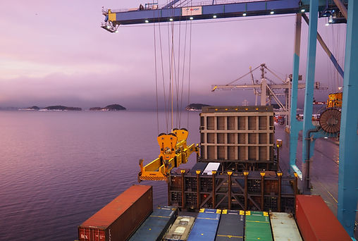 INDIA cargo ops.jpg