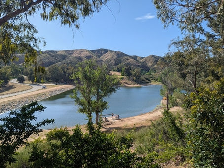 How to Choose a Licensed Electrician Near You