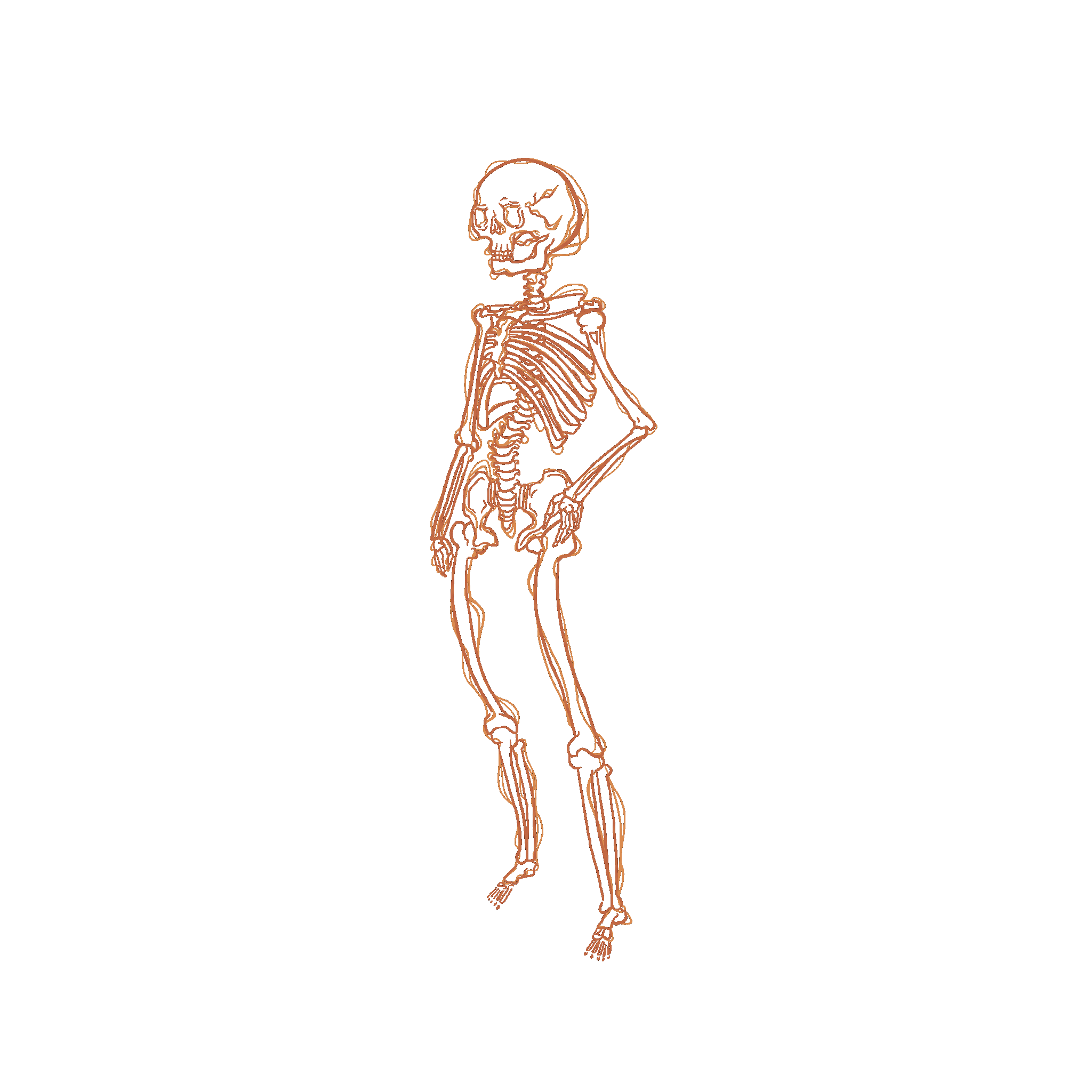 skin.gif