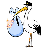 Diaper Creations by Lisa-NH