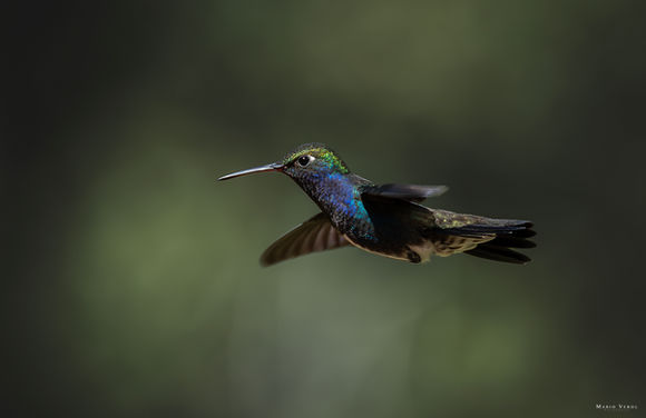 📌 Salesópolis - São Paulo - Brasil