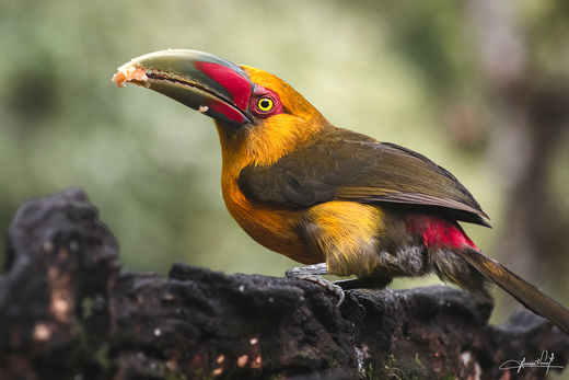 Tapiraí - São Paulo - Brasil