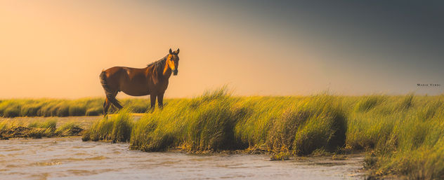 Tavares - Rio Grande do Sul - Brasil