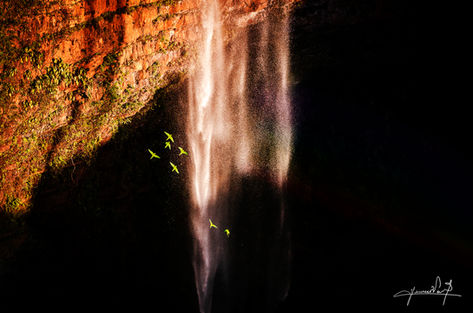 📌 Chapada dos Guimarães - Mato Grosso - Brasil