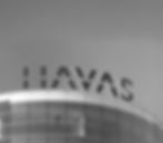havas-stsk_edited.jpg