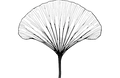 Gingko(2).png