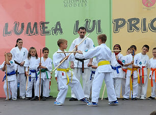 Summer Karate Camp