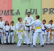 Summer Karate Camp