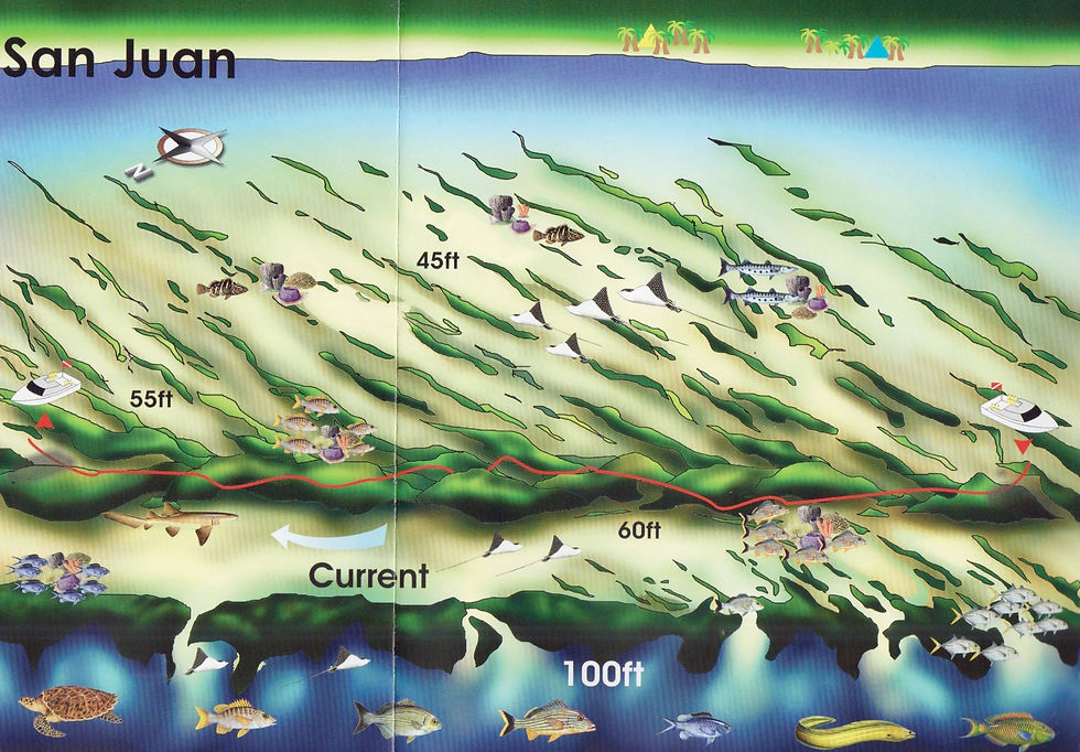 san-juan-reef-north-cozumel