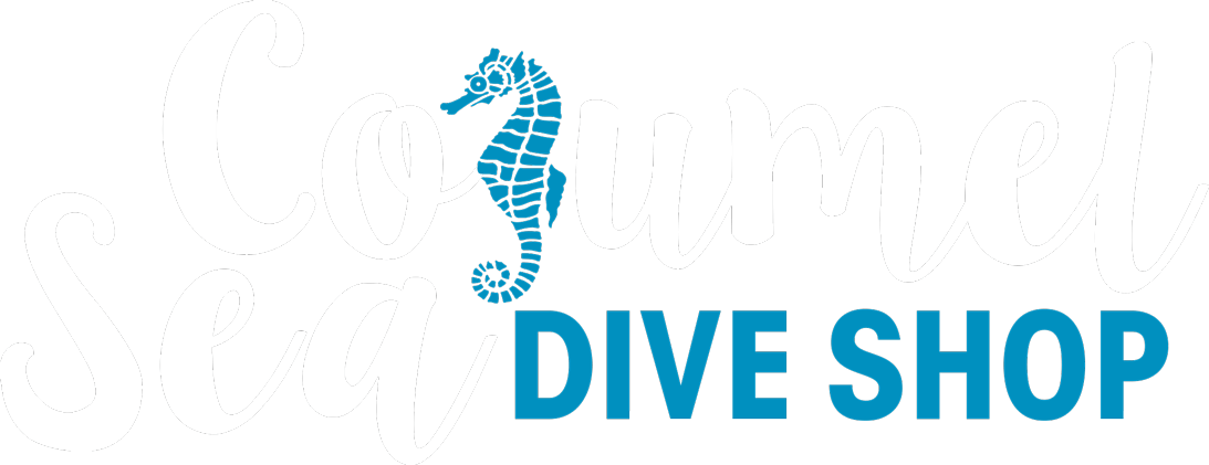 cozumel sea dive shop scuba and snorkeling