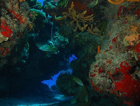 palancar caves