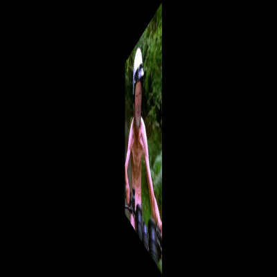 pixiz-16-10-2019-17-09-18.gif